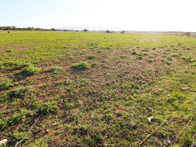 Terreno in vendita a Su Masu/Elmas, Casteddu/Cagliari