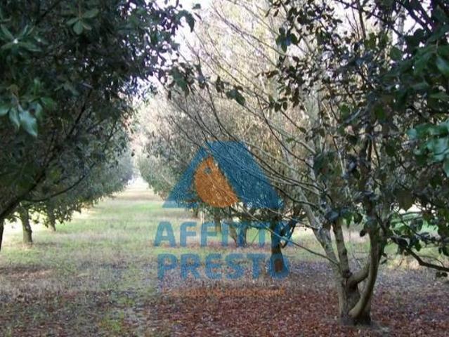 Terreno in vendita a Unione dei Comuni Circondario dell'Empolese Valdelsa, Empoli