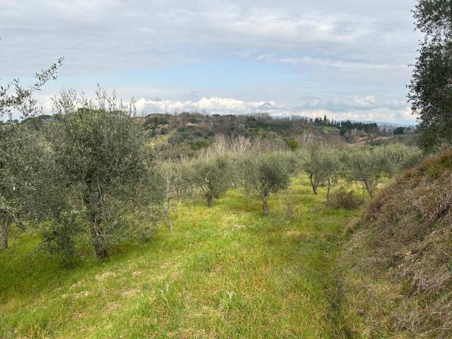 Terreno in vendita a Empoli, Firenze