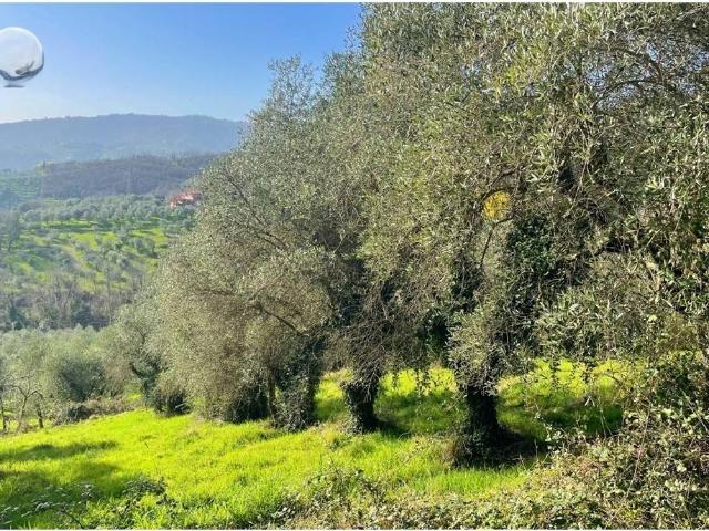 Terreno in vendita a Serravalle, Empoli