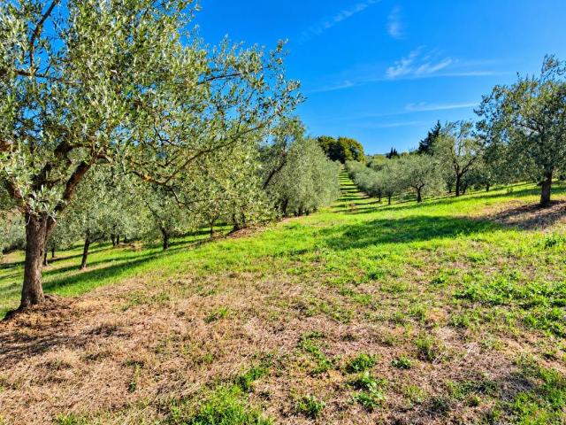 Terreno in vendita a Martignana, Empoli