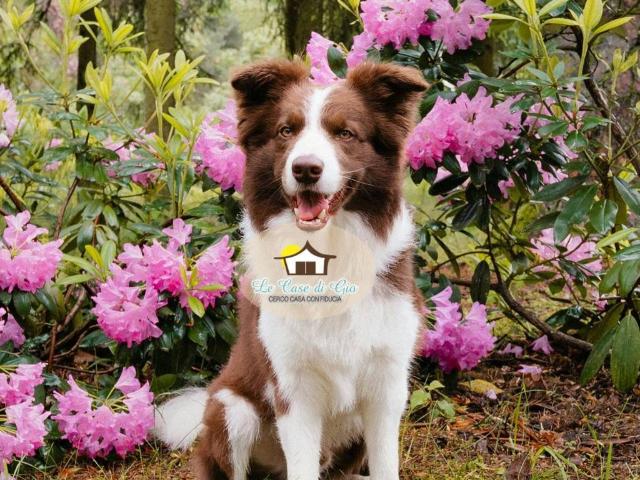 Terreno in vendita a Bastia, Empoli