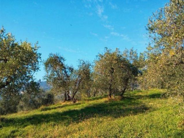 Terreno in vendita a Unione dei Comuni Circondario dell'Empolese Valdelsa, Empoli
