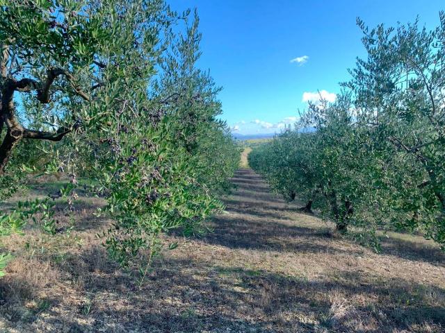 Terreno in vendita a Unione dei Comuni Circondario dell'Empolese Valdelsa, Empoli