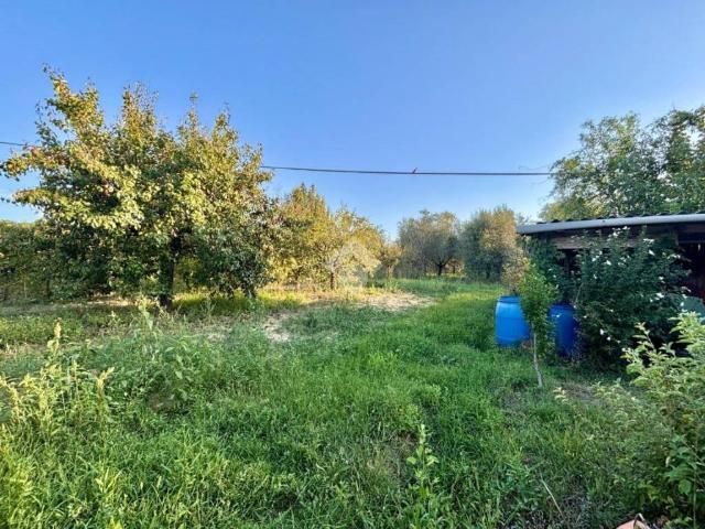 Terreno in vendita a Unione dei Comuni Circondario dell'Empolese Valdelsa, Empoli