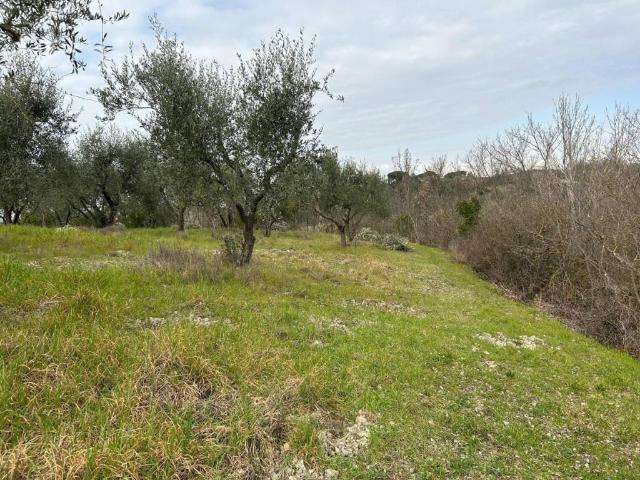 Terreno in vendita a Unione dei Comuni Circondario dell'Empolese Valdelsa, Empoli