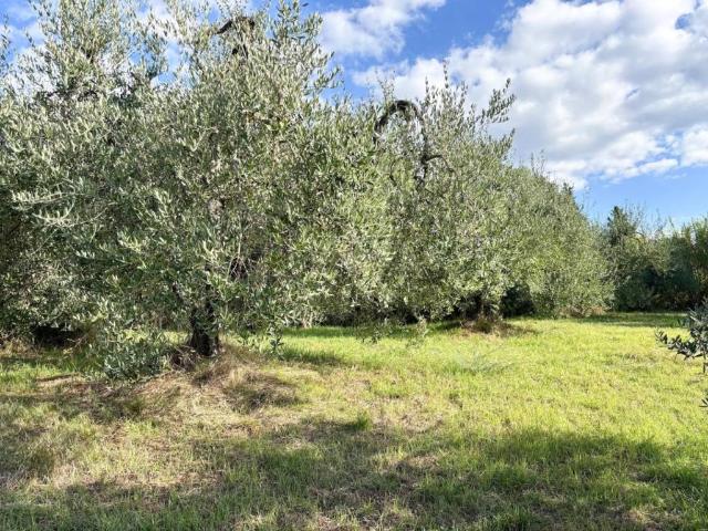 Terreno in vendita a Unione dei Comuni Circondario dell'Empolese Valdelsa, Empoli