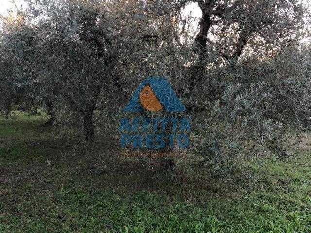 Terreno in vendita a Empoli, Firenze