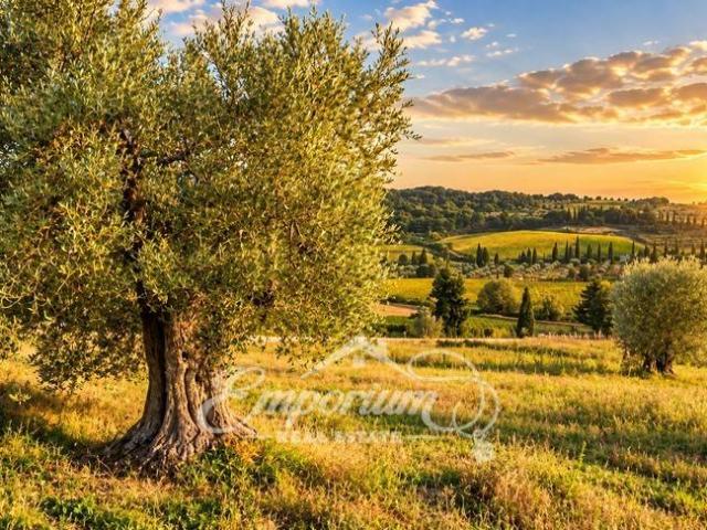 Terreno in vendita a Monterappoli, Empoli