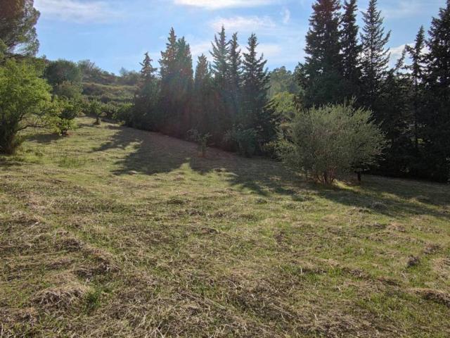 Terreno in vendita a Enna