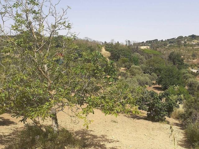 Terreno in vendita a Enna, Sicilia