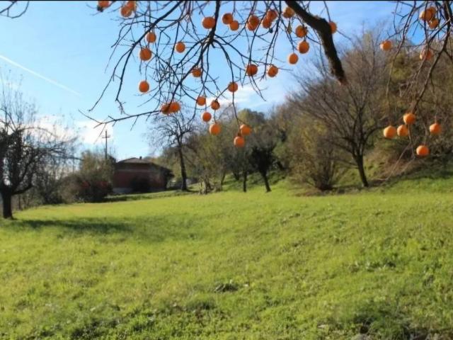 Terreno in vendita a Parravicino, Erba