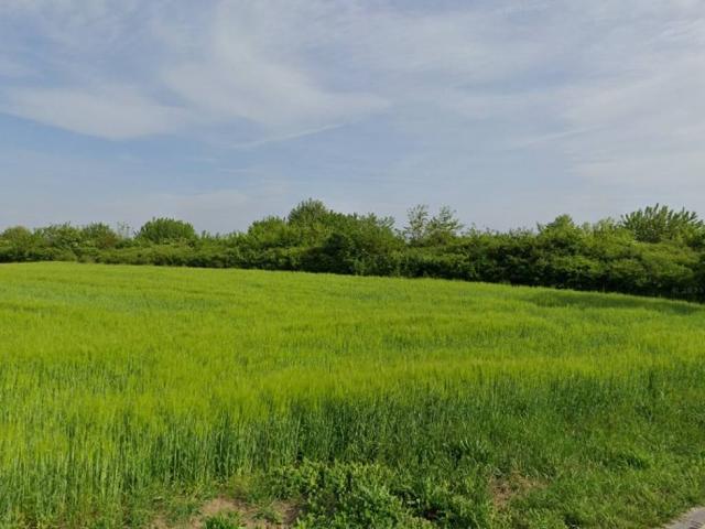 Terreno in vendita a Erbè, Veneto