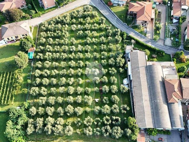 Terreno in vendita a Erbusco, Lombardia