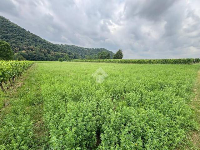 Terreno in vendita a Erbusco, Lombardia