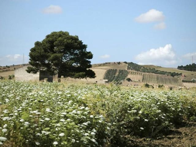 Terreno in vendita a Crocci, Valderice