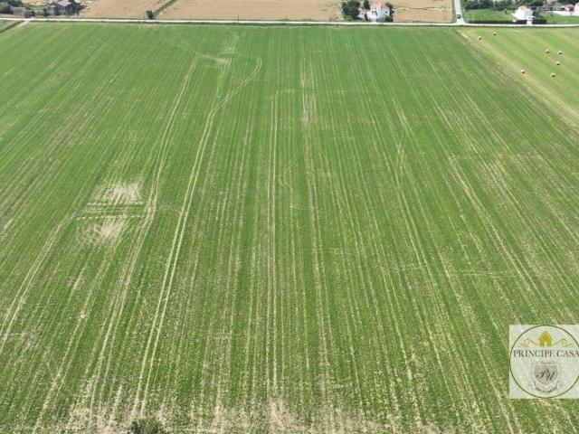 Terreno in vendita a Este, Veneto