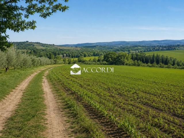 Terreno in vendita a Este, Veneto
