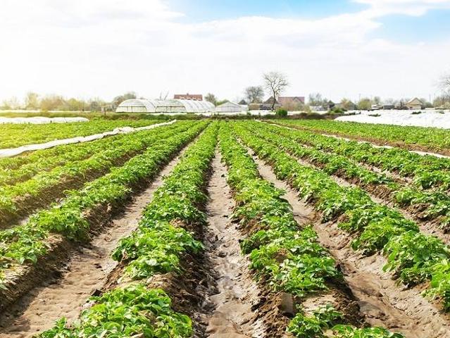 Terreno in vendita a Este, Veneto