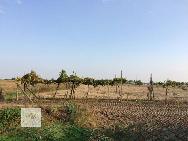Terreno in vendita a Este, Veneto