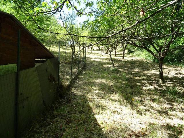 Terreno in vendita a Marche, Ancona