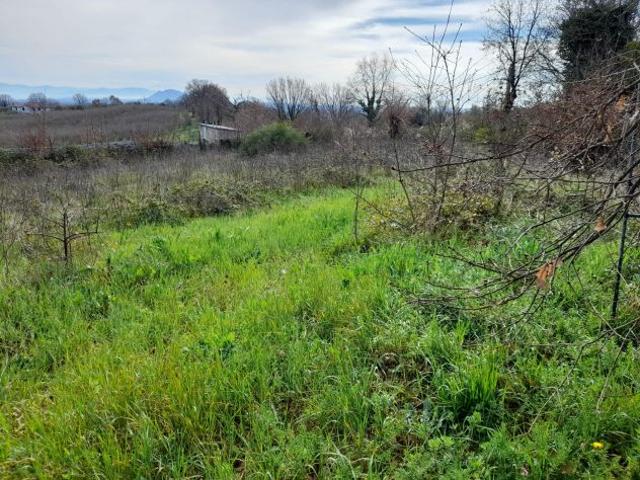 Terreno in vendita a Fabrica Di Roma, Lazio
