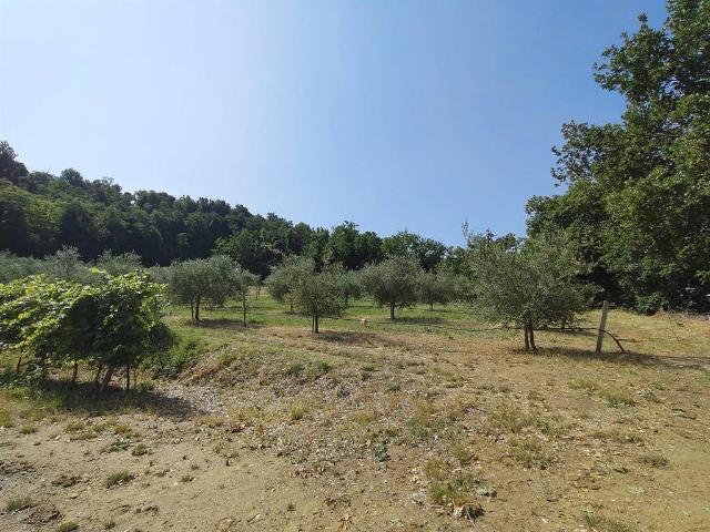 Terreno in vendita a Unione della Romagna Faentina, Faenza