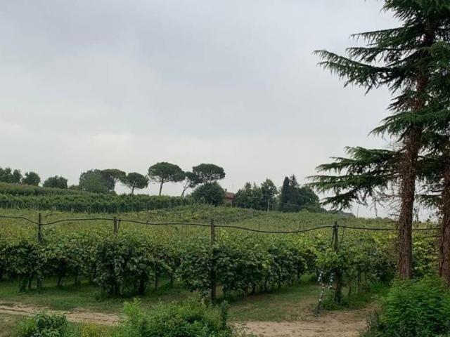 Terreno in vendita a Unione della Romagna Faentina, Faenza
