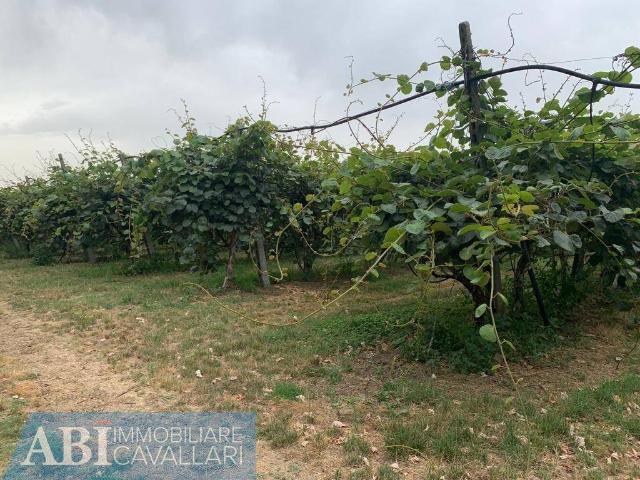 Terreno in vendita a Unione della Romagna Faentina, Faenza