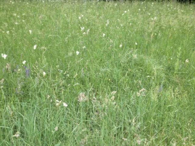 Terreno in vendita a Fagagna, Friuli-Venezia Giulia