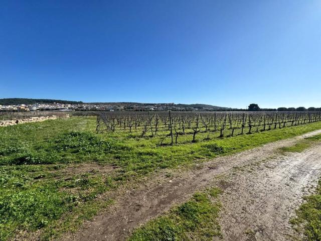 Terreno in vendita a Puglia, Taranto