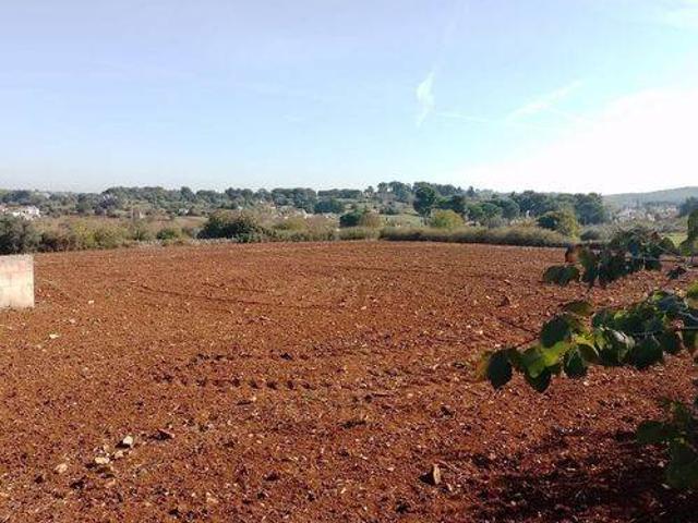 Terreno in vendita a Puglia, Taranto