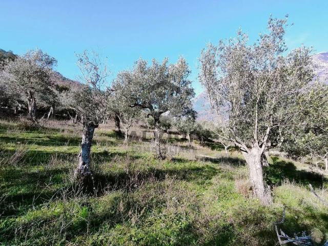 Terreno in vendita a Faicchio, Campania