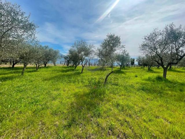 Terreno in vendita a Faicchio, Campania