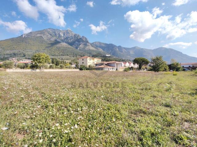 Terreno in vendita a Faicchio, Campania