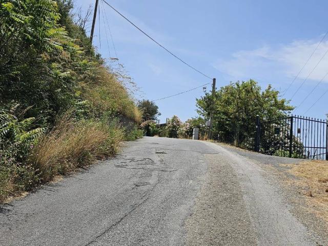 Terreno in vendita a Calabria, Cosenza
