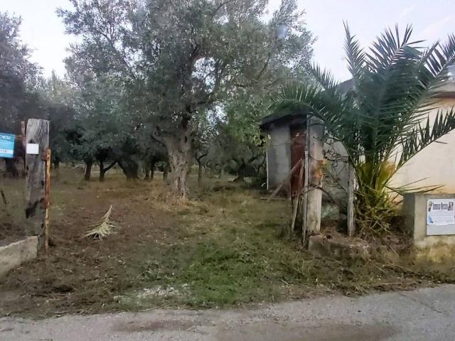 Terreno in vendita a Calabria, Catanzaro