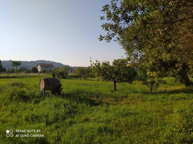 Terreno in vendita a Marche, Pesaro E Urbino