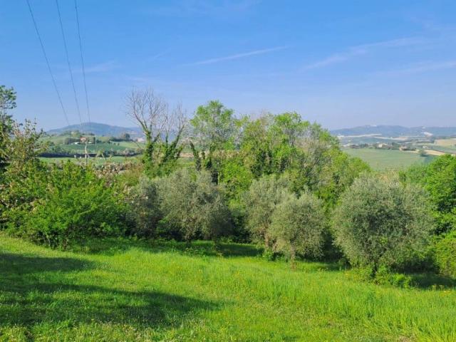 Terreno in vendita a Bevano, Marche