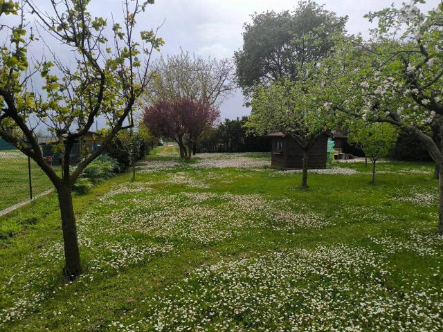 Terreno in vendita a Carrara, Marche