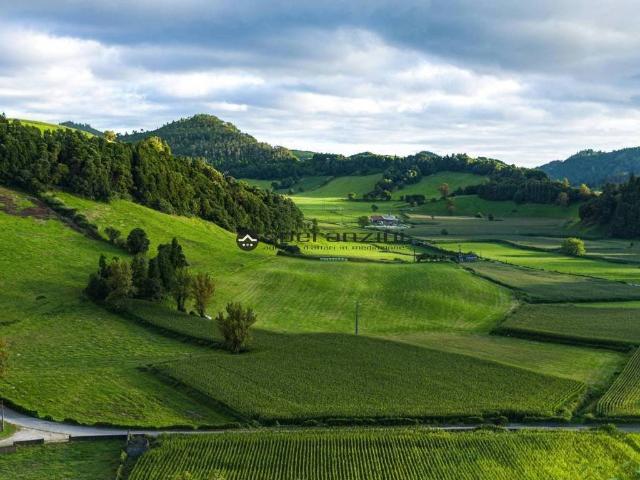 Terreno in vendita a Carrara, Marche