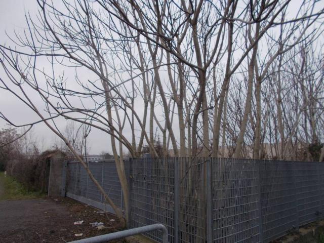 Terreno in vendita a Fara Gera D'adda, Lombardia
