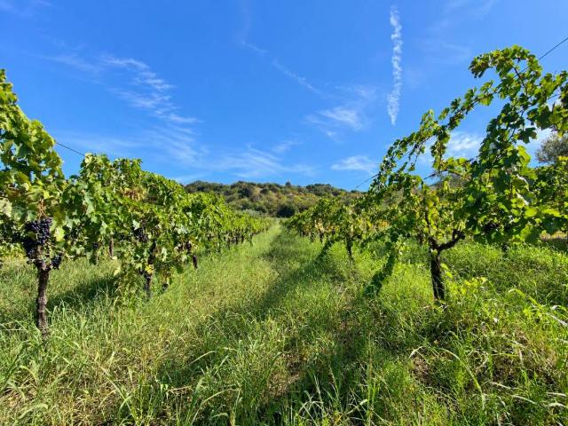 Terreno in vendita a Fonte Luna, Fara Sabina