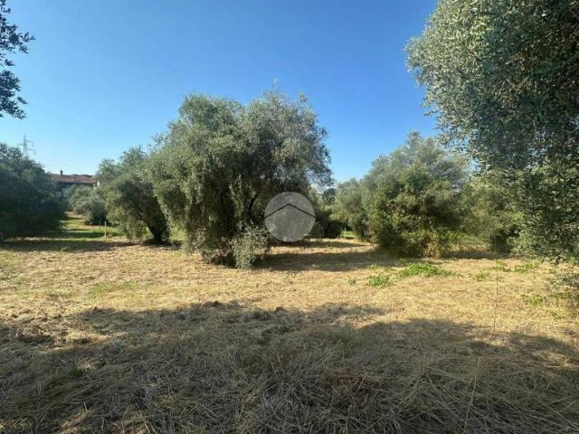 Terreno in vendita a Fara Sabina, Lazio