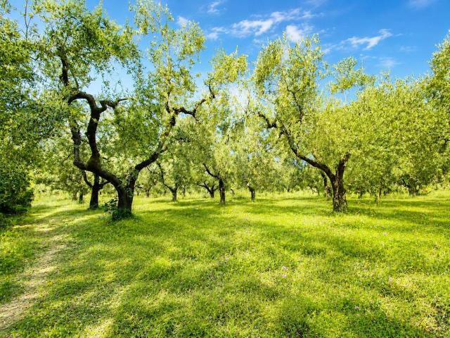 Terreno in vendita a Fonte Luna, Fara Sabina