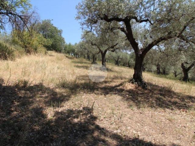 Terreno in vendita a Fara Sabina, Lazio