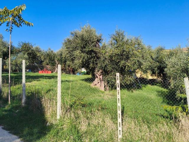 Terreno in vendita a Fara Sabina, Lazio