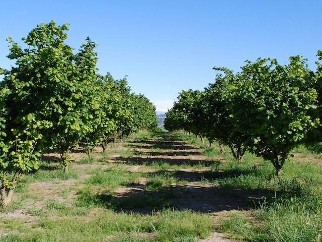 Terreno in vendita a Piemonte, Cuneo