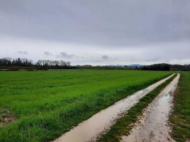 Terreno in vendita a Farra D'isonzo, Friuli-Venezia Giulia