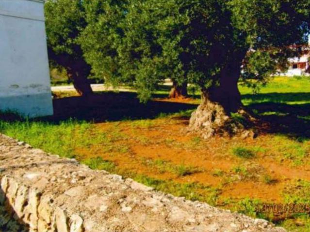 Terreno in vendita a Pezze di Greco, Fasano